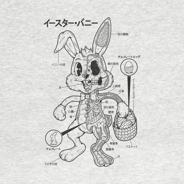 EASTER BUNNY ANATOMY - LINES by Firebrander